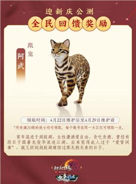 天龙八部私服不能